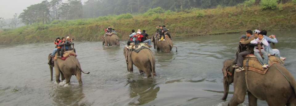 elephant_ride_in_nepal